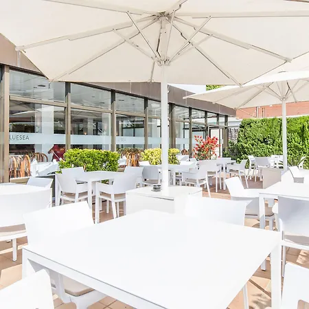 Bluesea Montevista Hawai 호텔